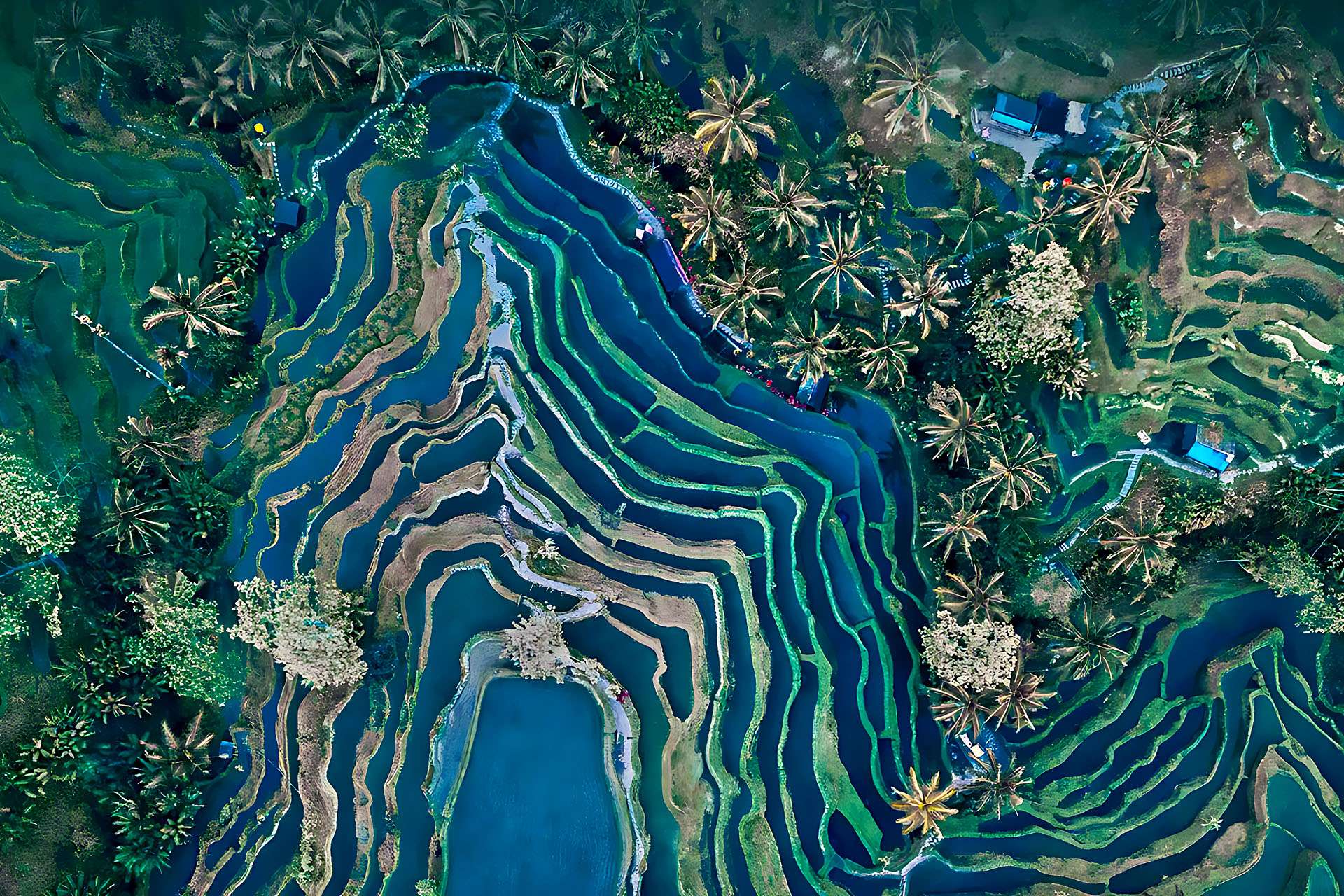 Best Area to Stay in Bali with Family: Canggu vs Ubud